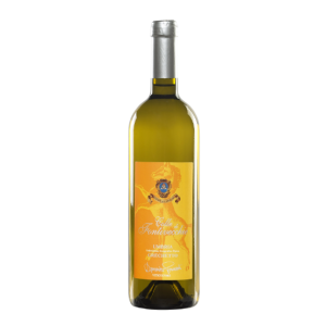 COLLE DI FONTIVECCHIE Grechetto IGT – A. A. Pennacchi