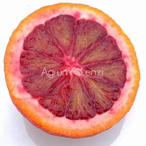 Arancio Moro (Citrus sinensis)